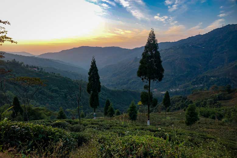 Darjeeling: A Place the Sky Comes Down to Touch