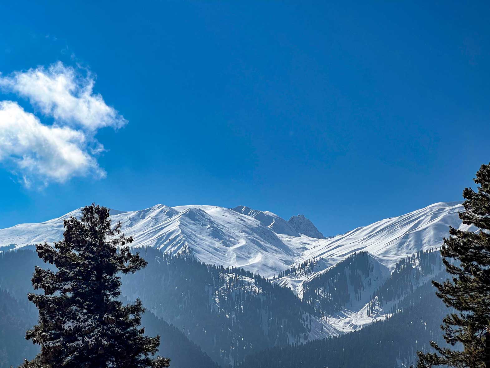 Kashmir