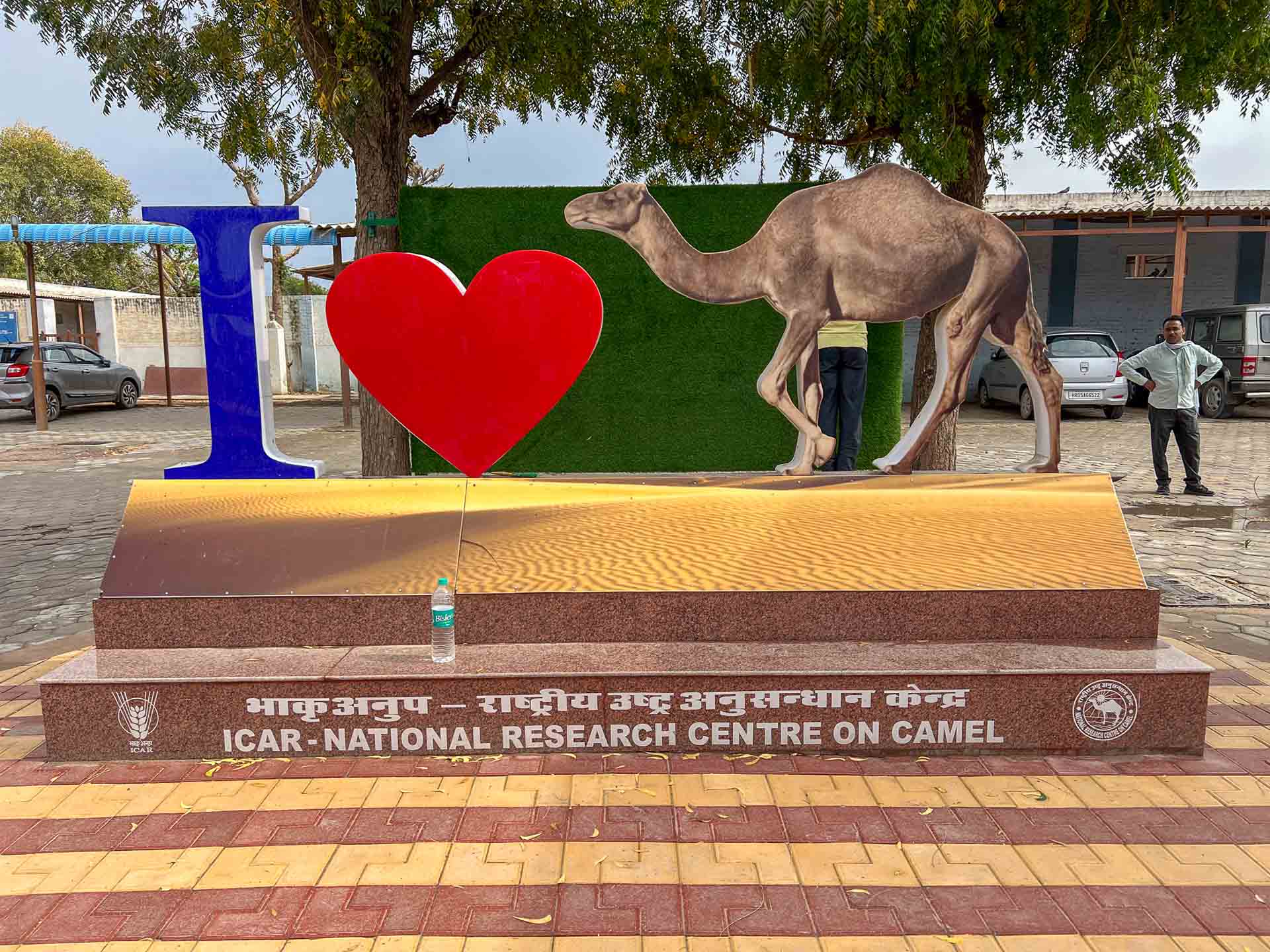 Camel Institute