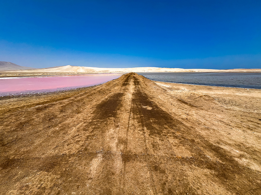 Paracas_Ica