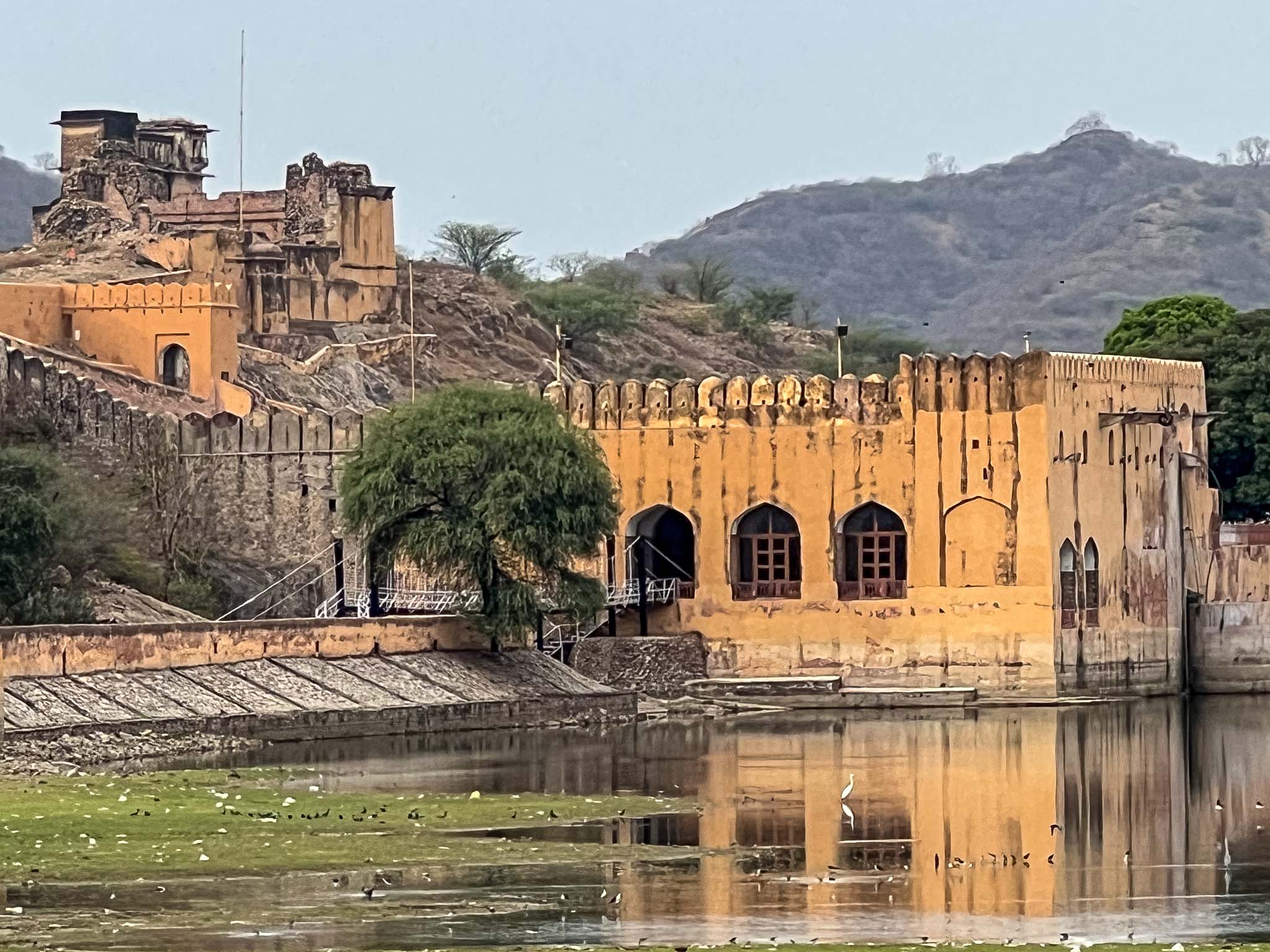 Amer Fort