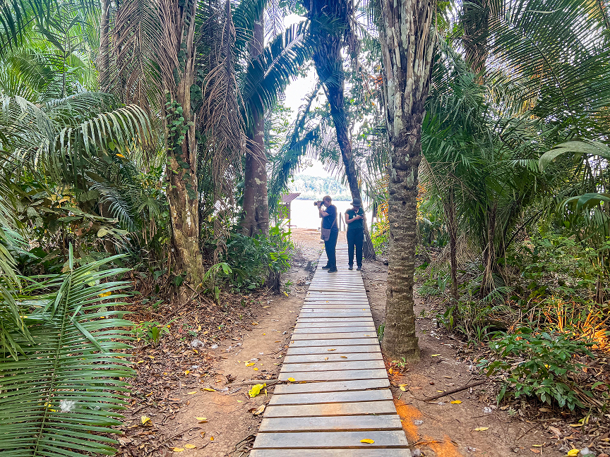 Tambopata