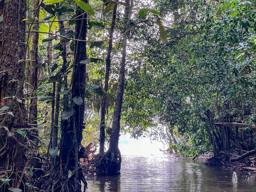 Puerto Maldonado