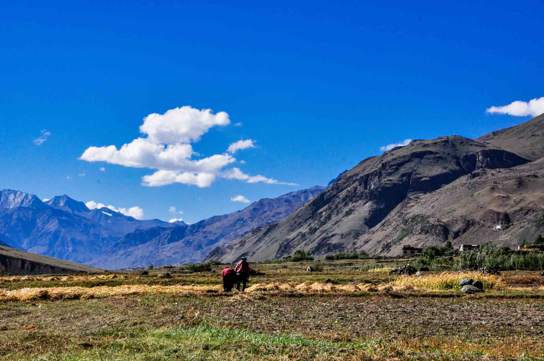 Zanskar