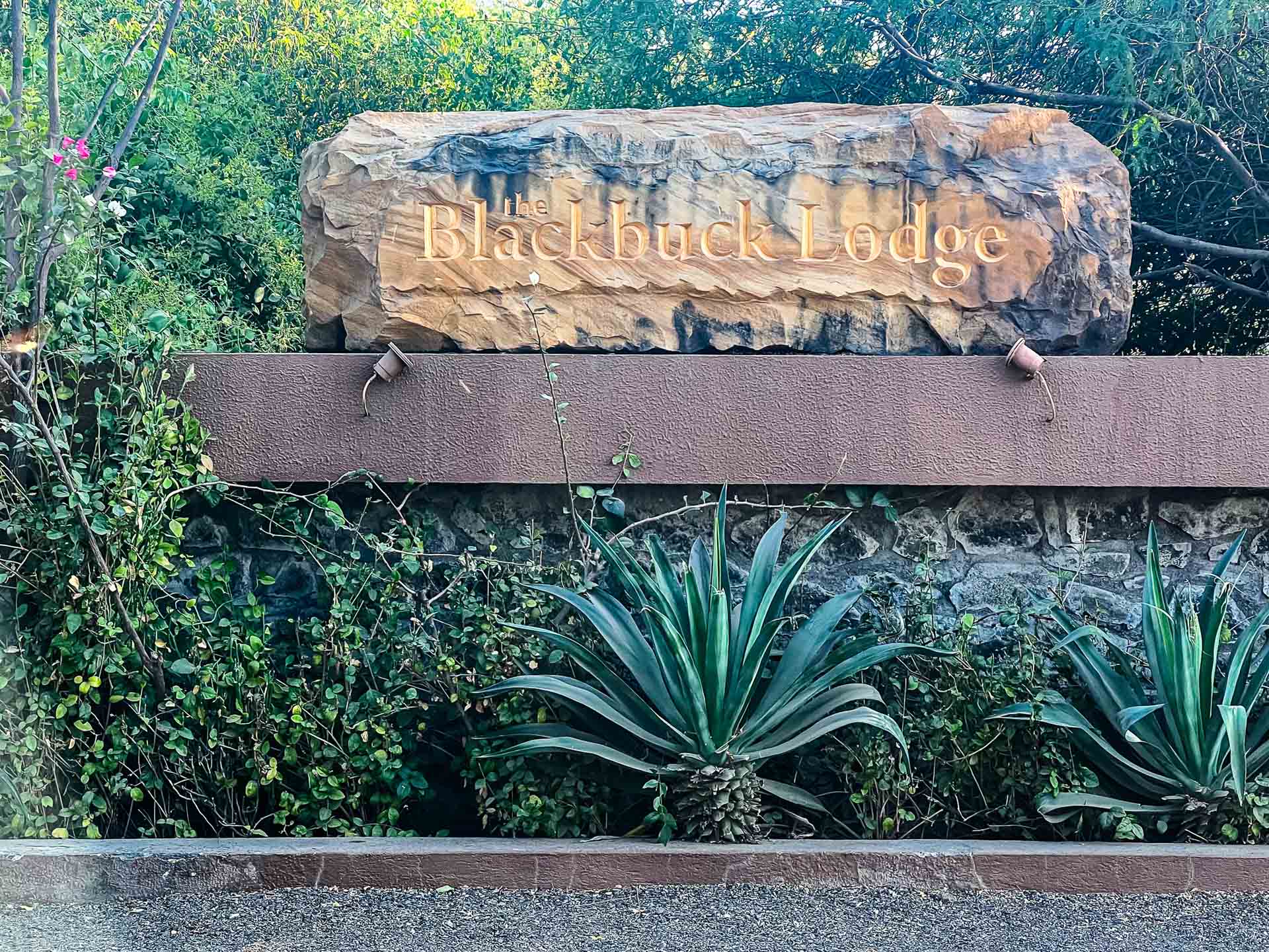 Black Buck Lodge