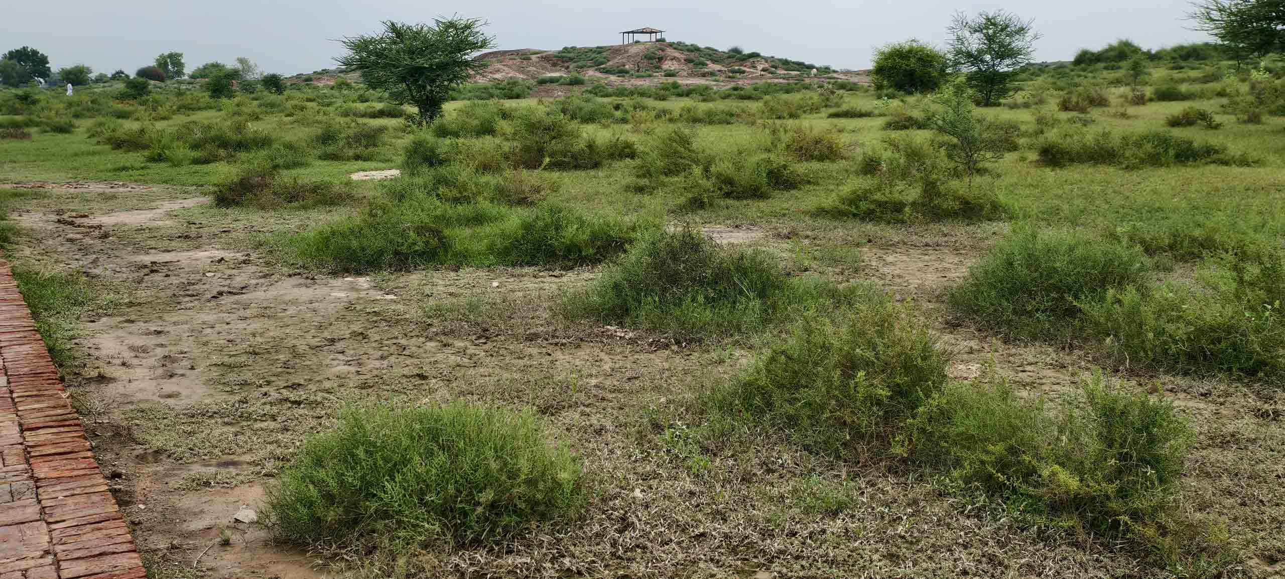 Kalibangan